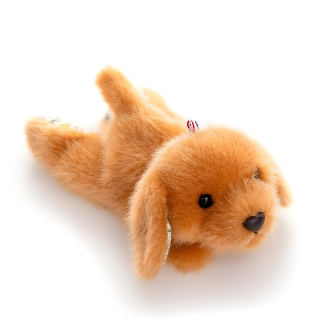 Arriving Soon - Mad Ally - Blossom Buddies Golden Retrevier