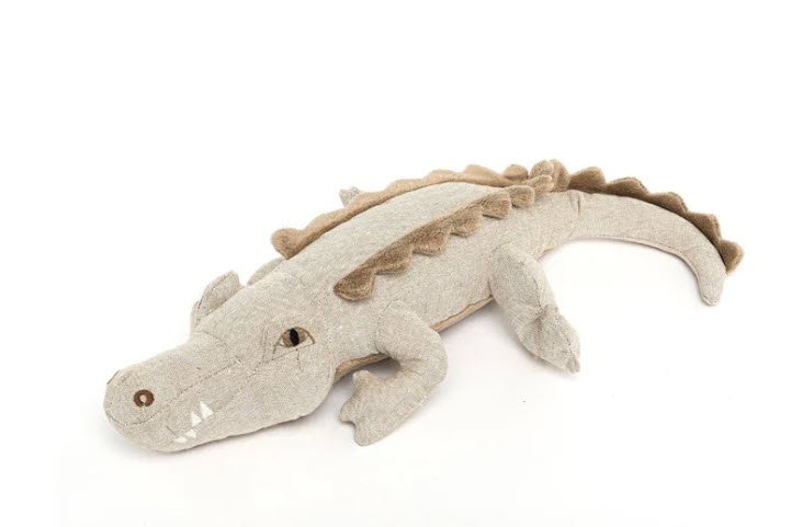 Karen the Croc.jpg