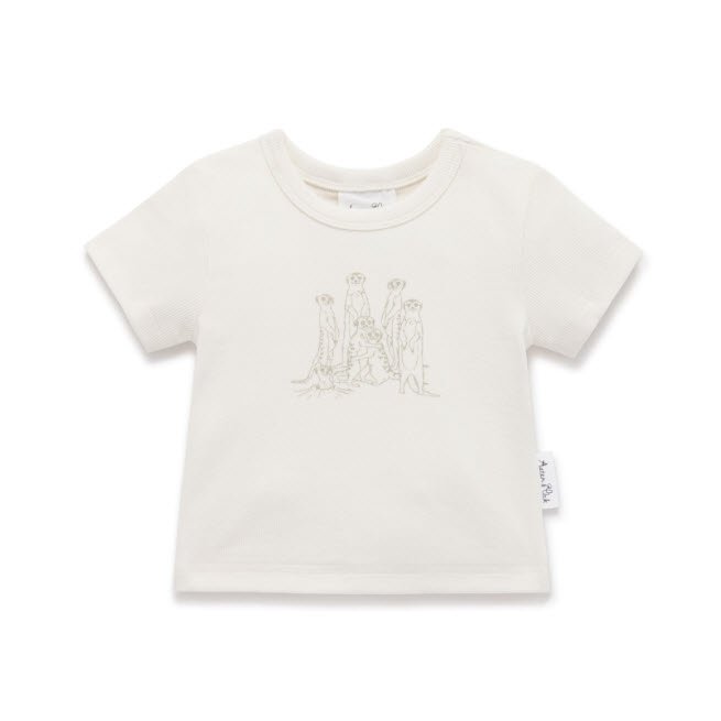 Meerkat Top.jpg