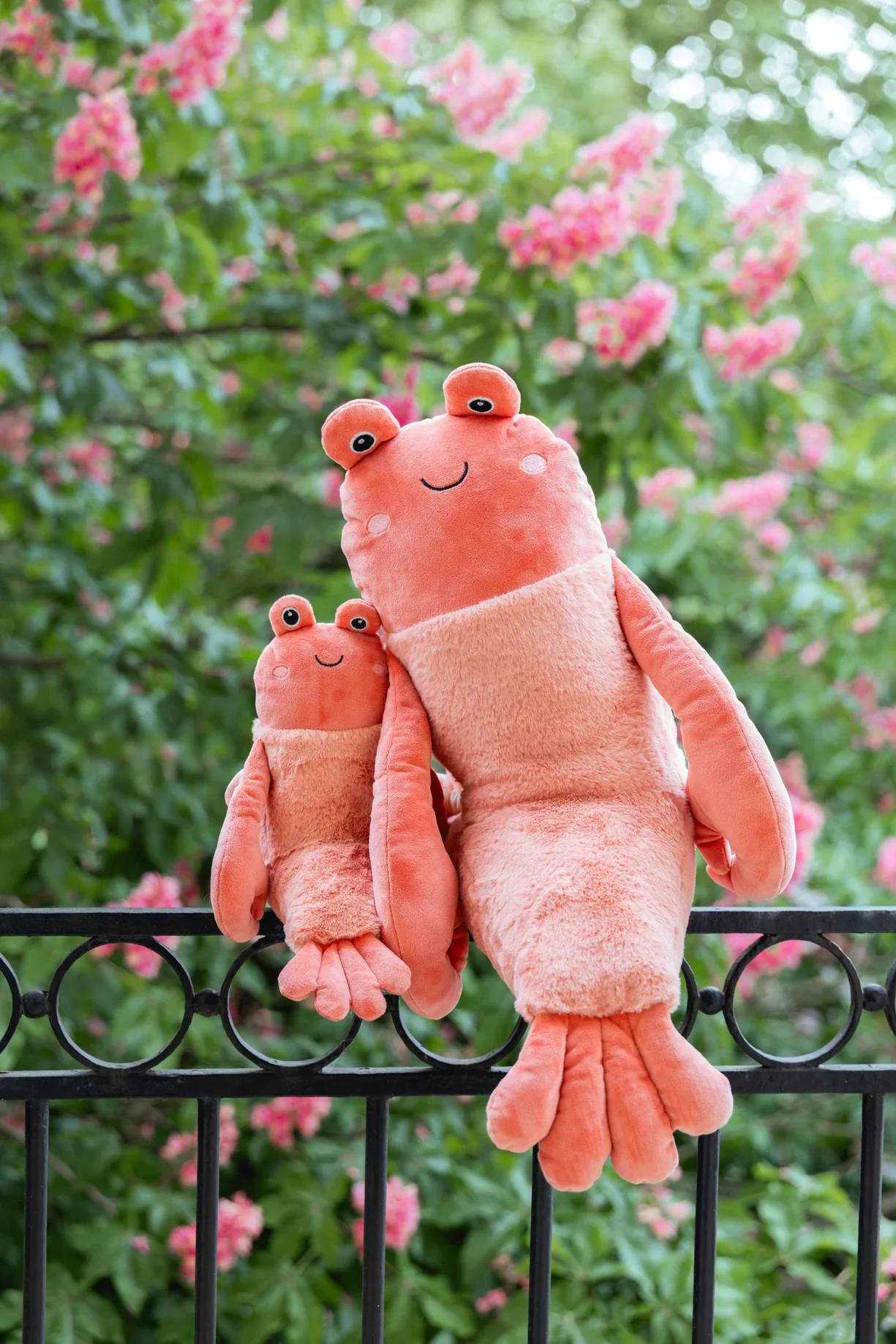 big-craig-the-crayfish-nanahuchy-1243905370.webp
