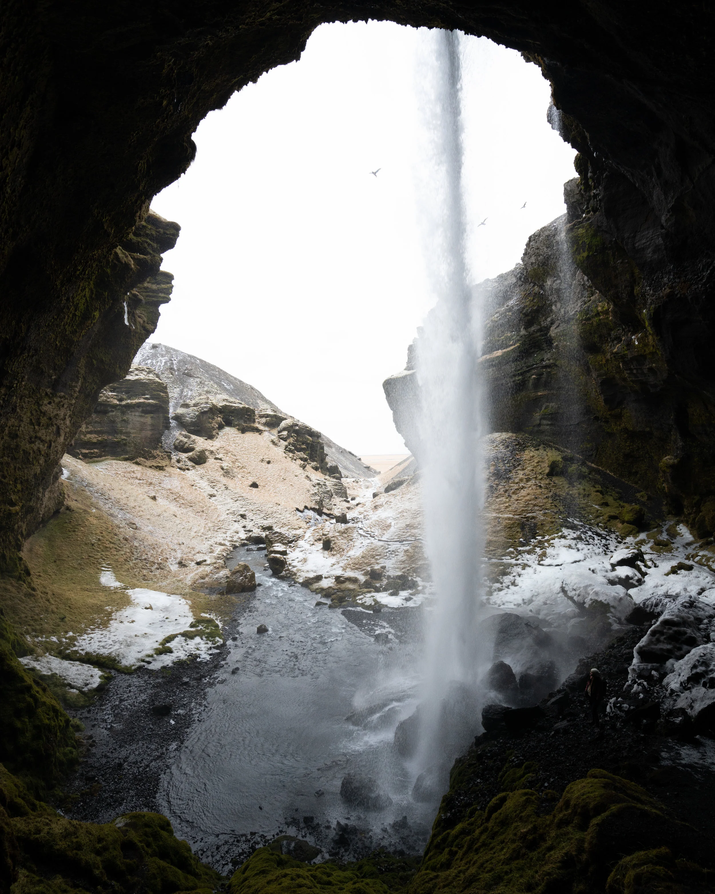 DSC09412-2.jpg
