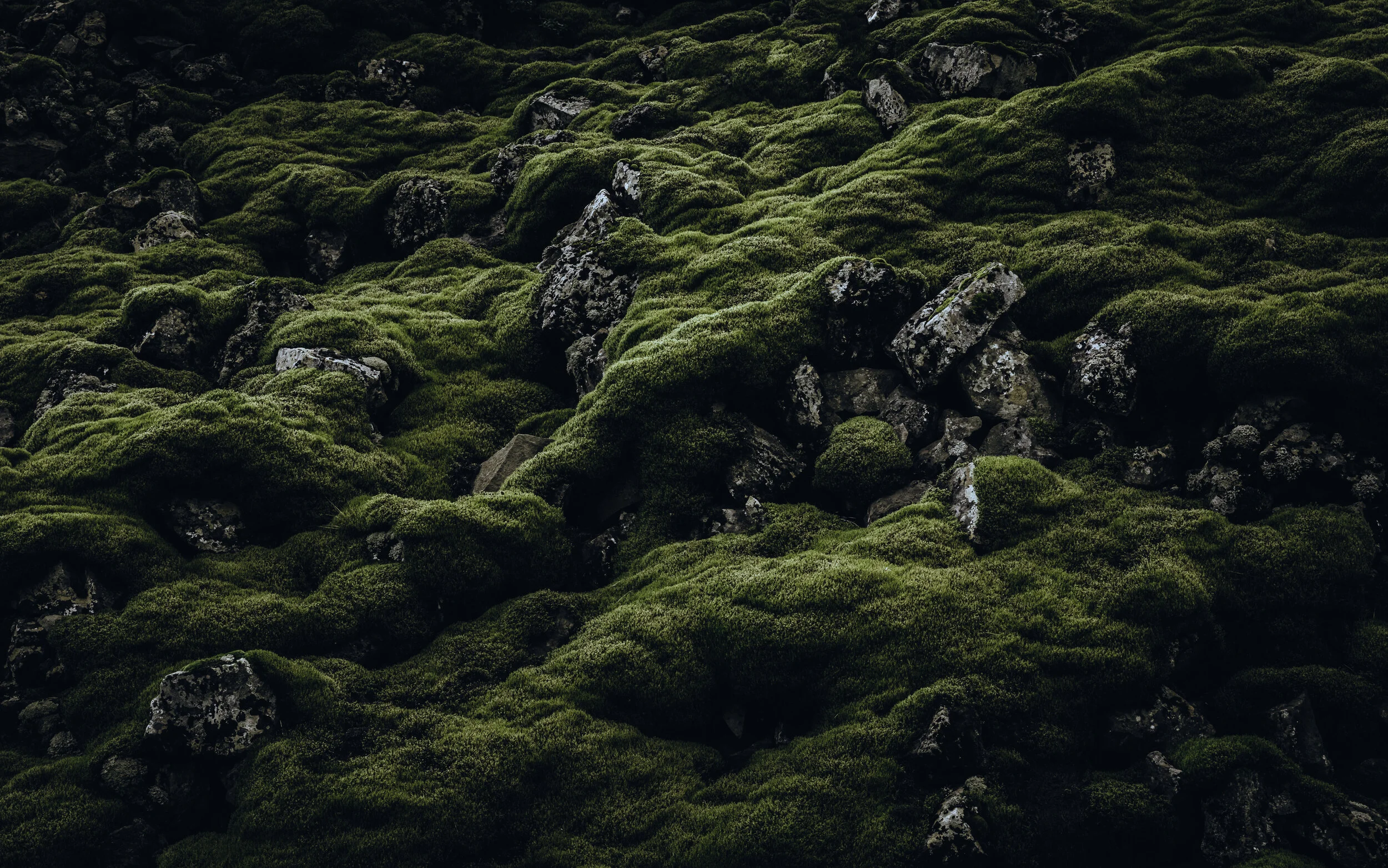 640A4259-Edit-2.jpg