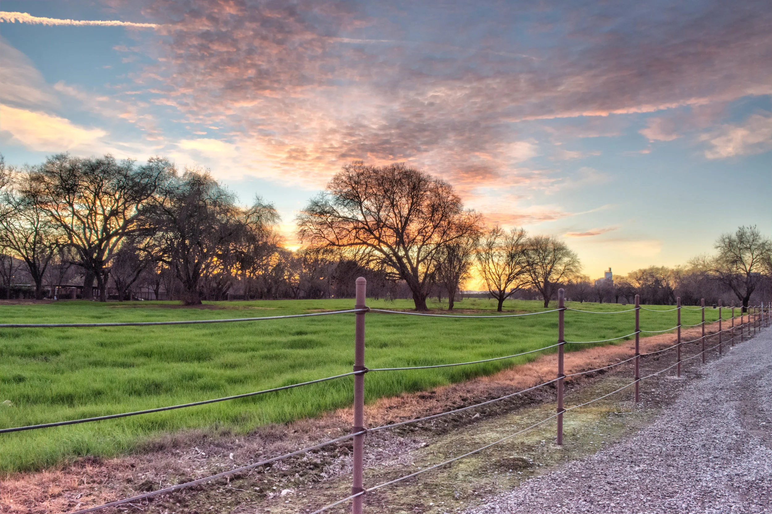 Beauty is everywhere