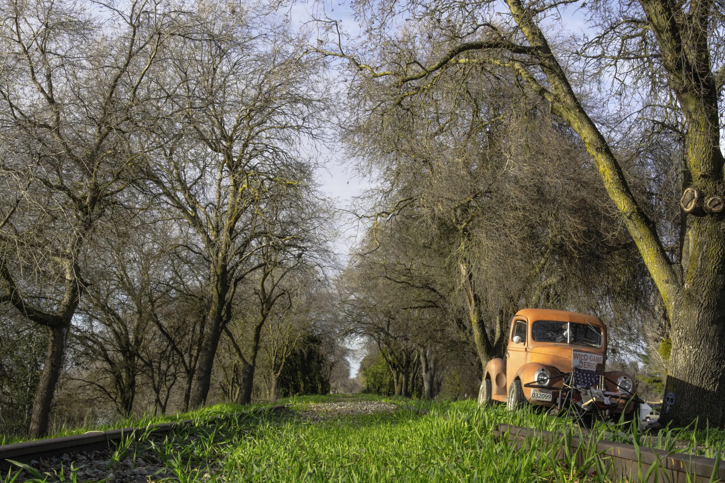 Rail Dreams-Edit.jpg