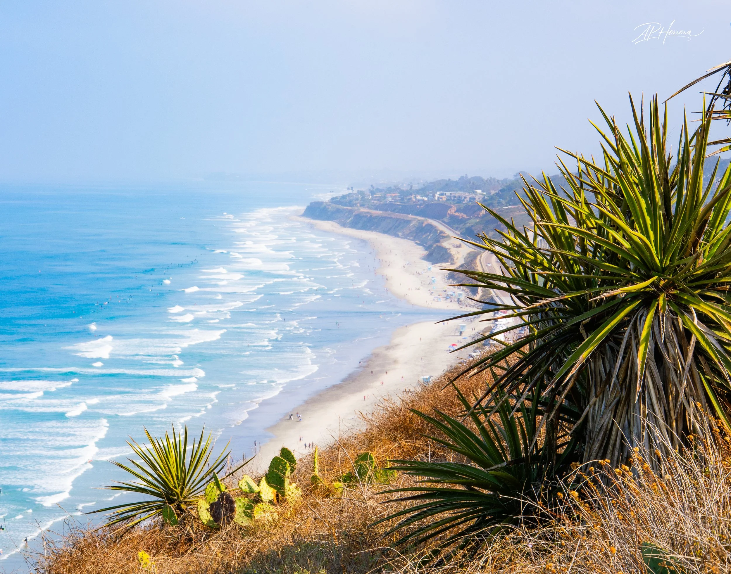 Torrey Pines - Hike Day-502.JPG