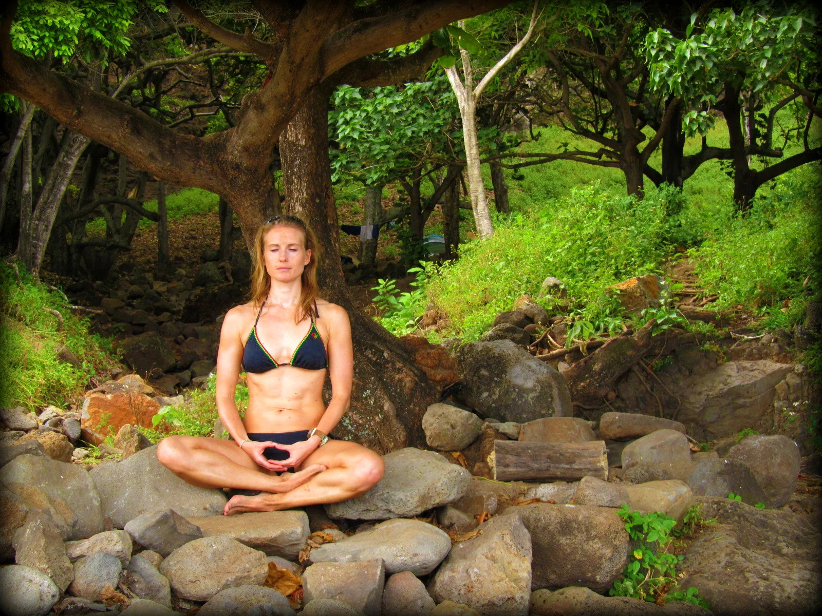 Meditation for the Working Professional