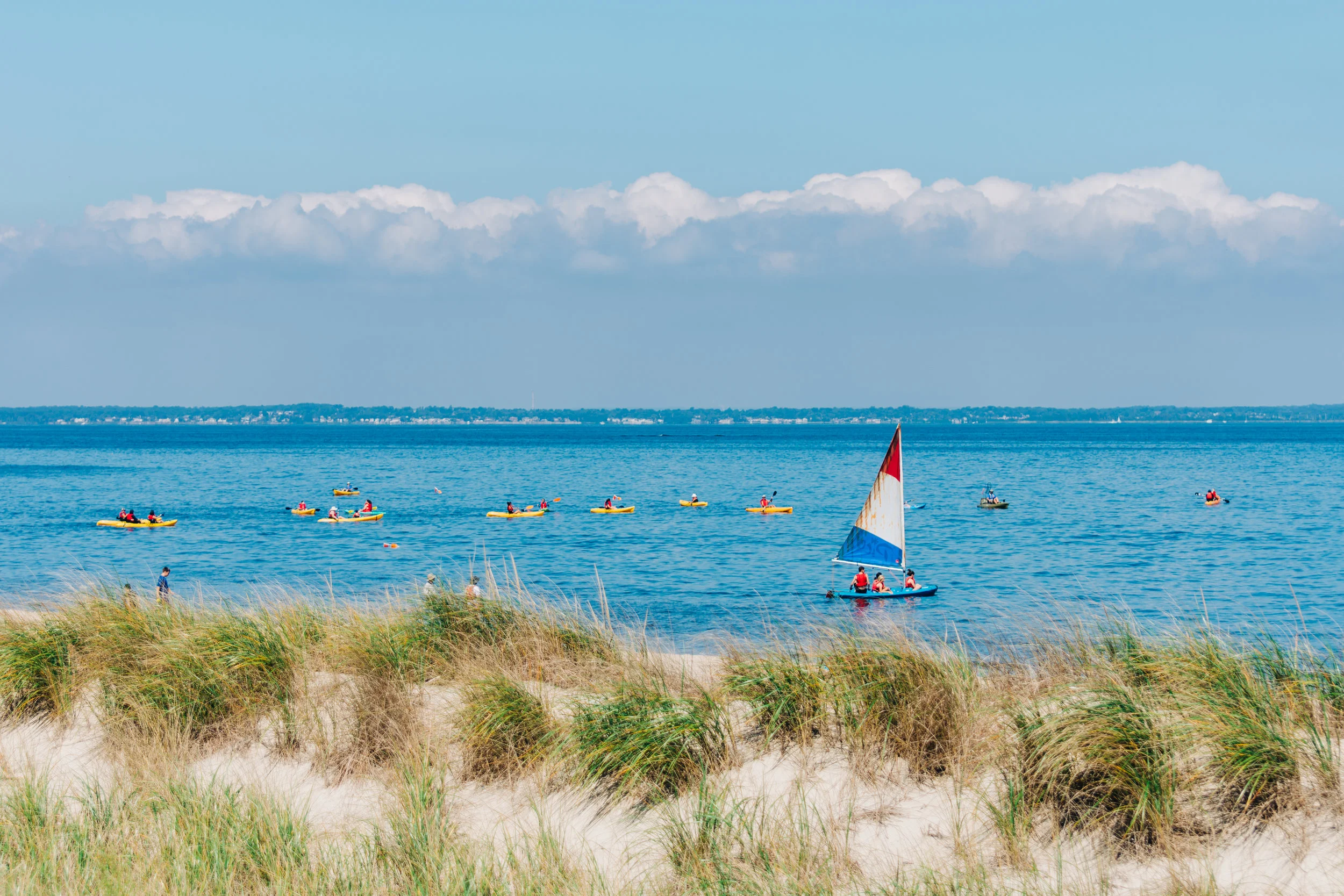 NEWS_Wind_and_Sea_Festival_PO-1.jpg