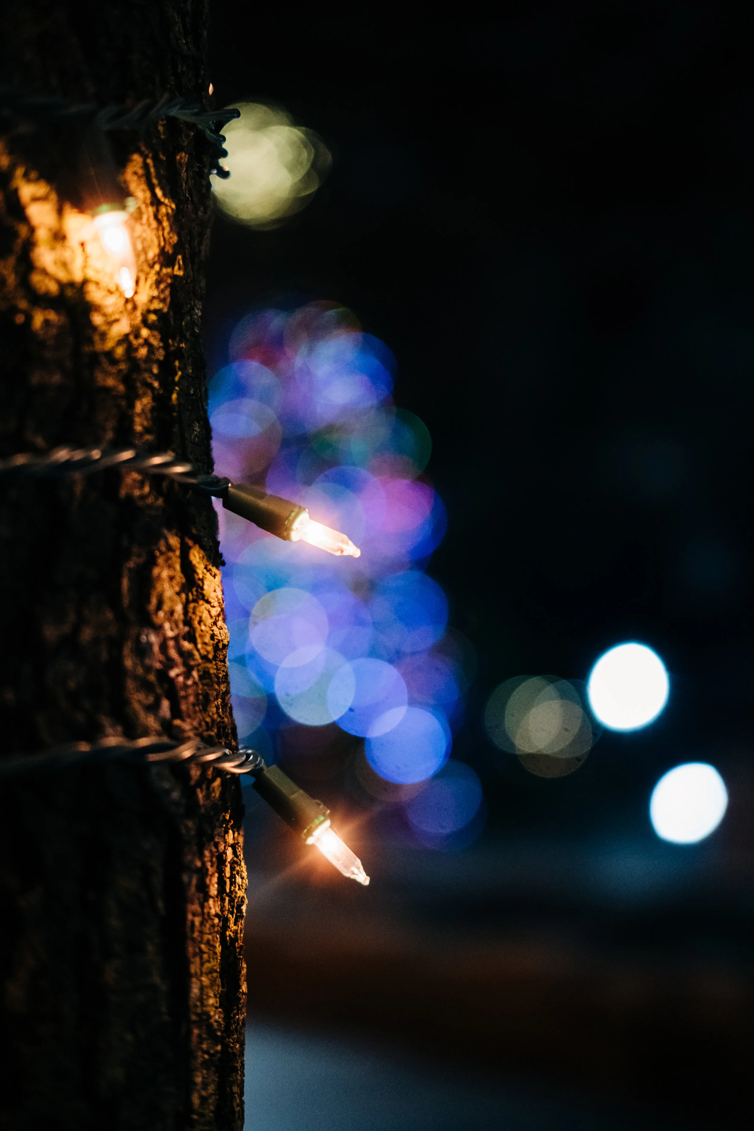 News_Red_Bank_Lights_PO-2.jpg