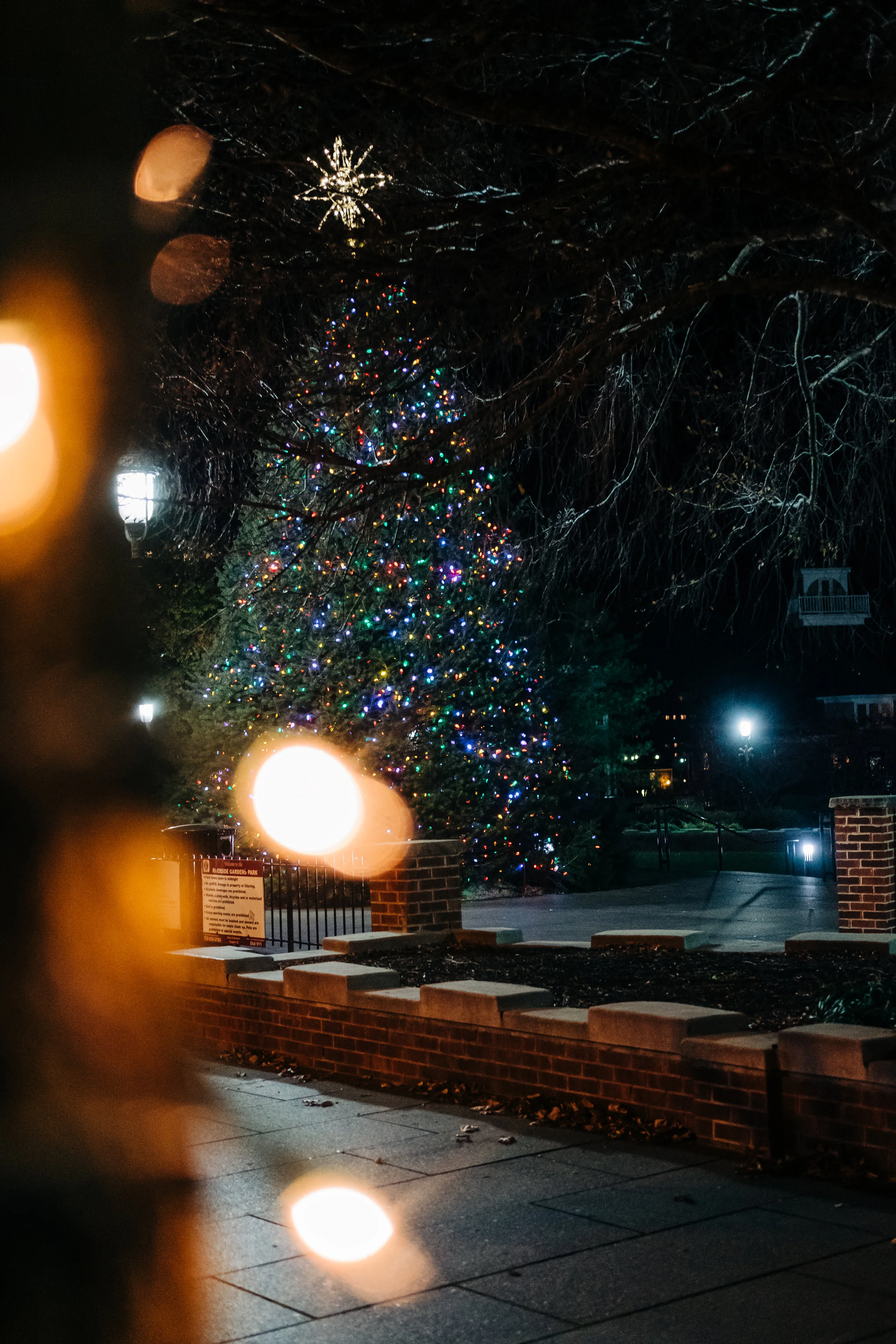 News_Red_Bank_Lights_PO-1.jpg