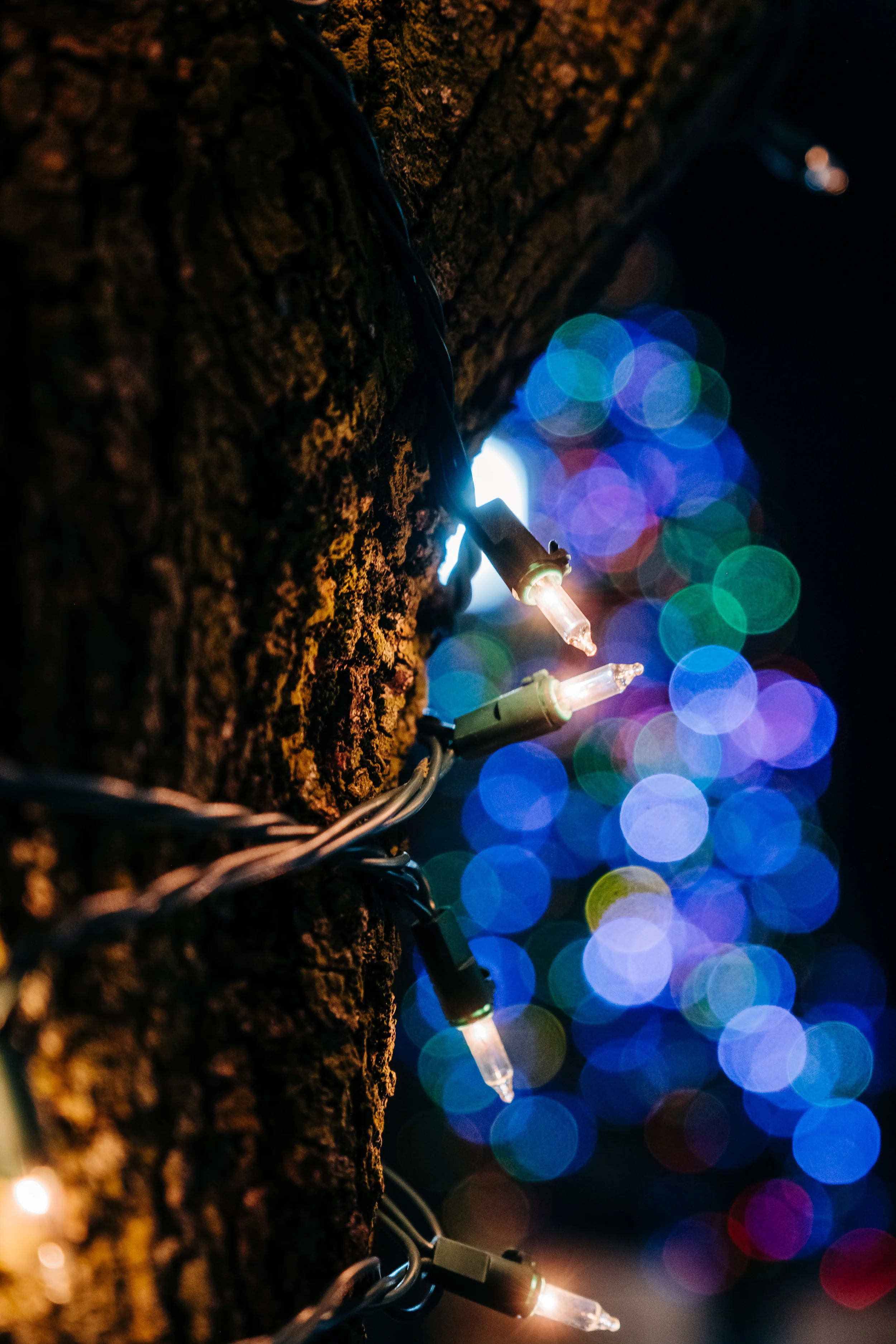 News_Red_Bank_Lights_PO-49.jpg