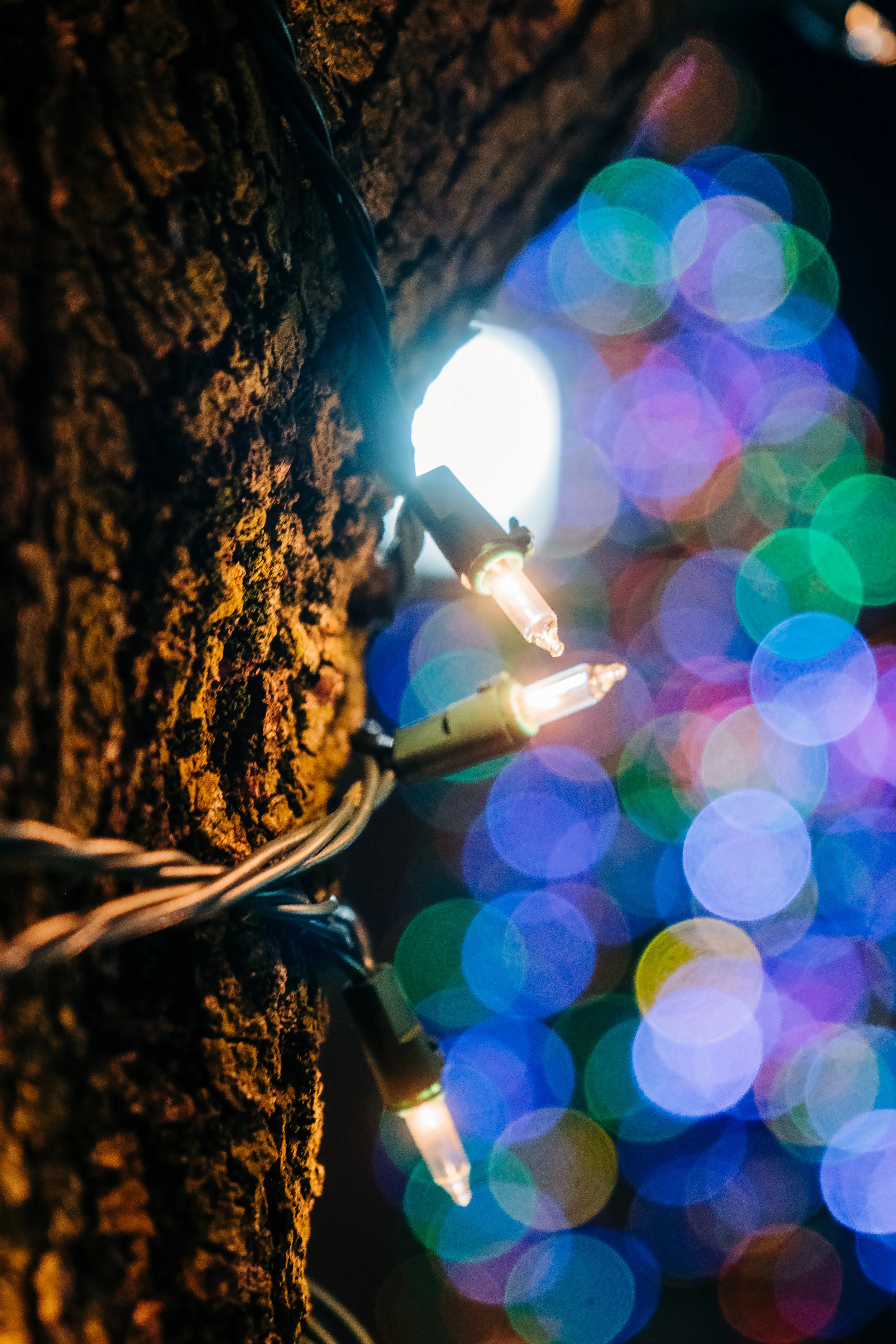 News_Red_Bank_Lights_PO-50.jpg
