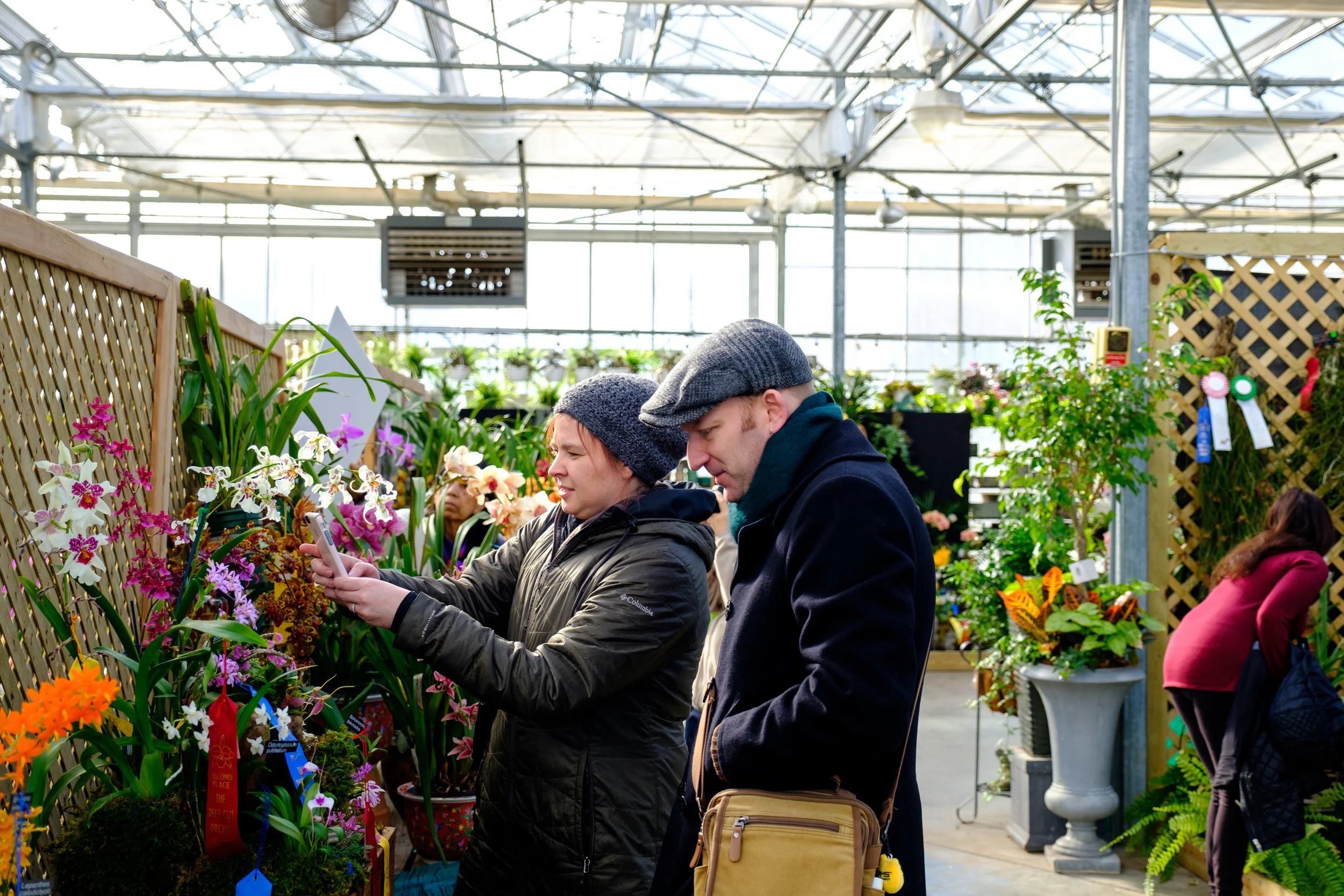 News_Orchid_Show_PO-1.jpg