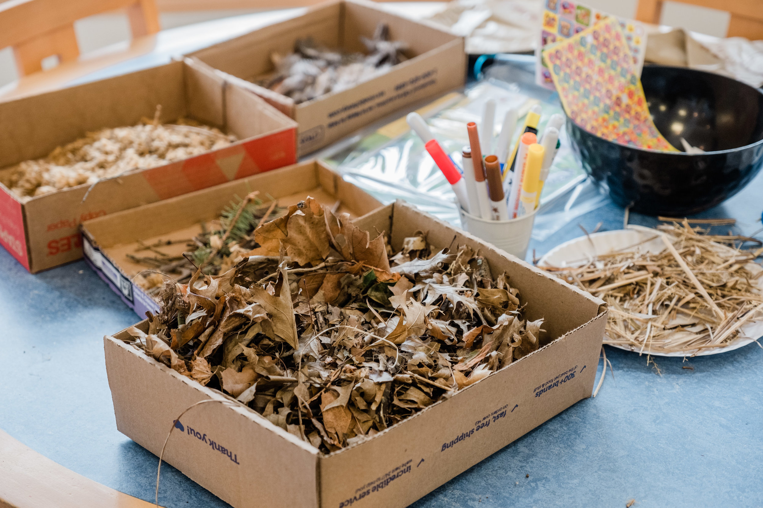 News_MTPL_BirdHouse_Building_PO-11.jpg