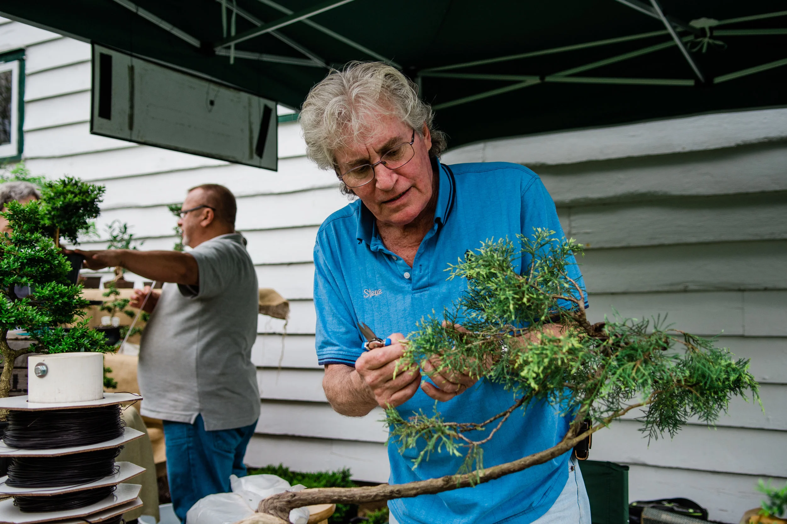 News_Thompson_Park_Festival_PO-38.jpg