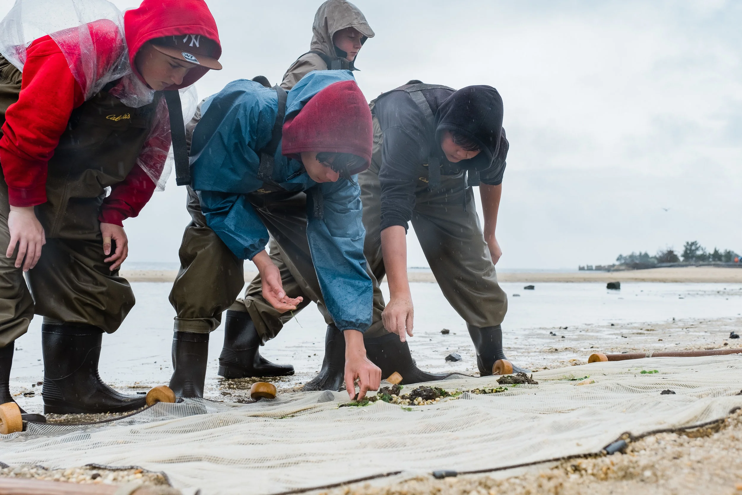 BSA_EnvSci_Merit_Badge_2019-23.jpg