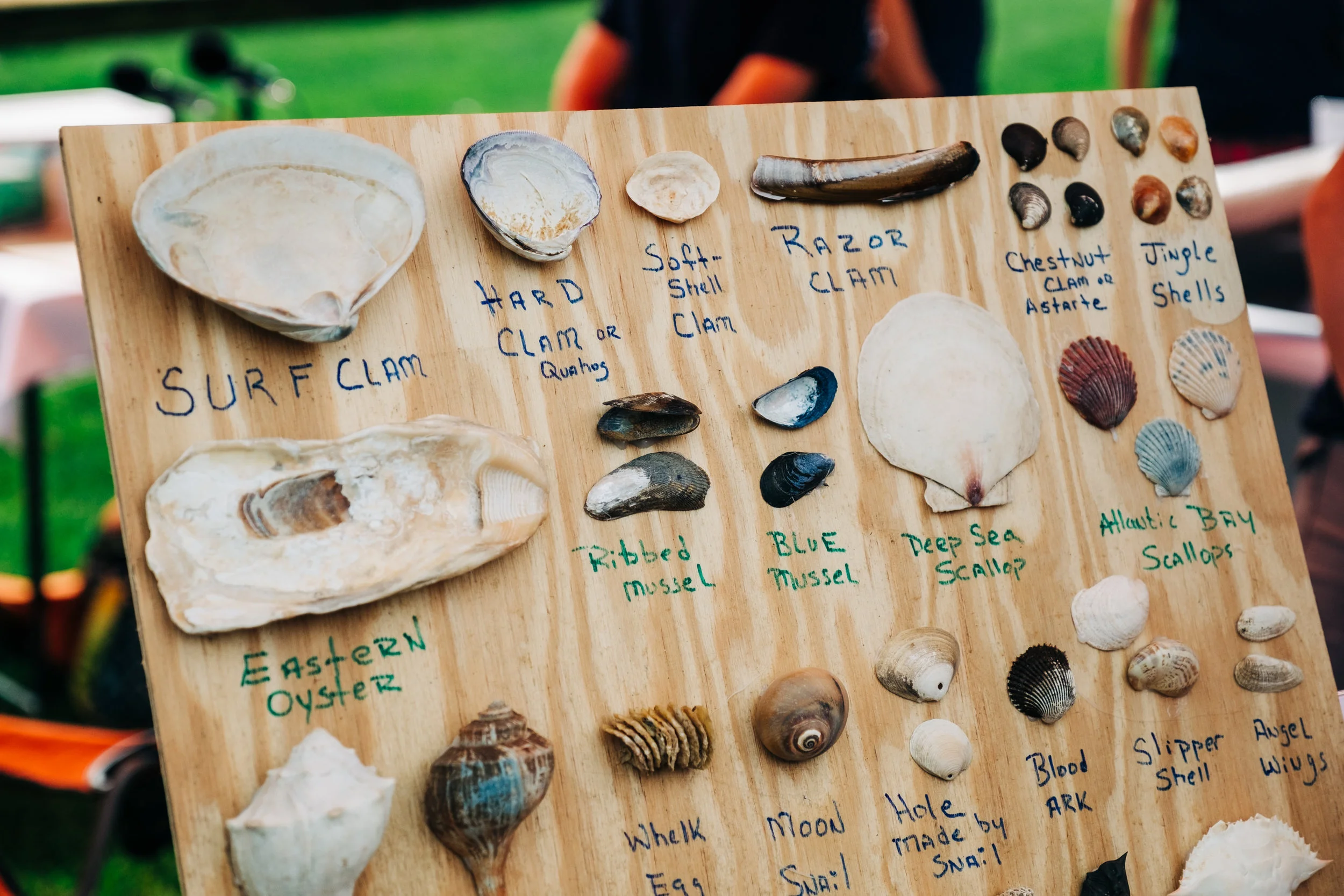 NEWS_RUM_EcoFest_PO-6.jpg