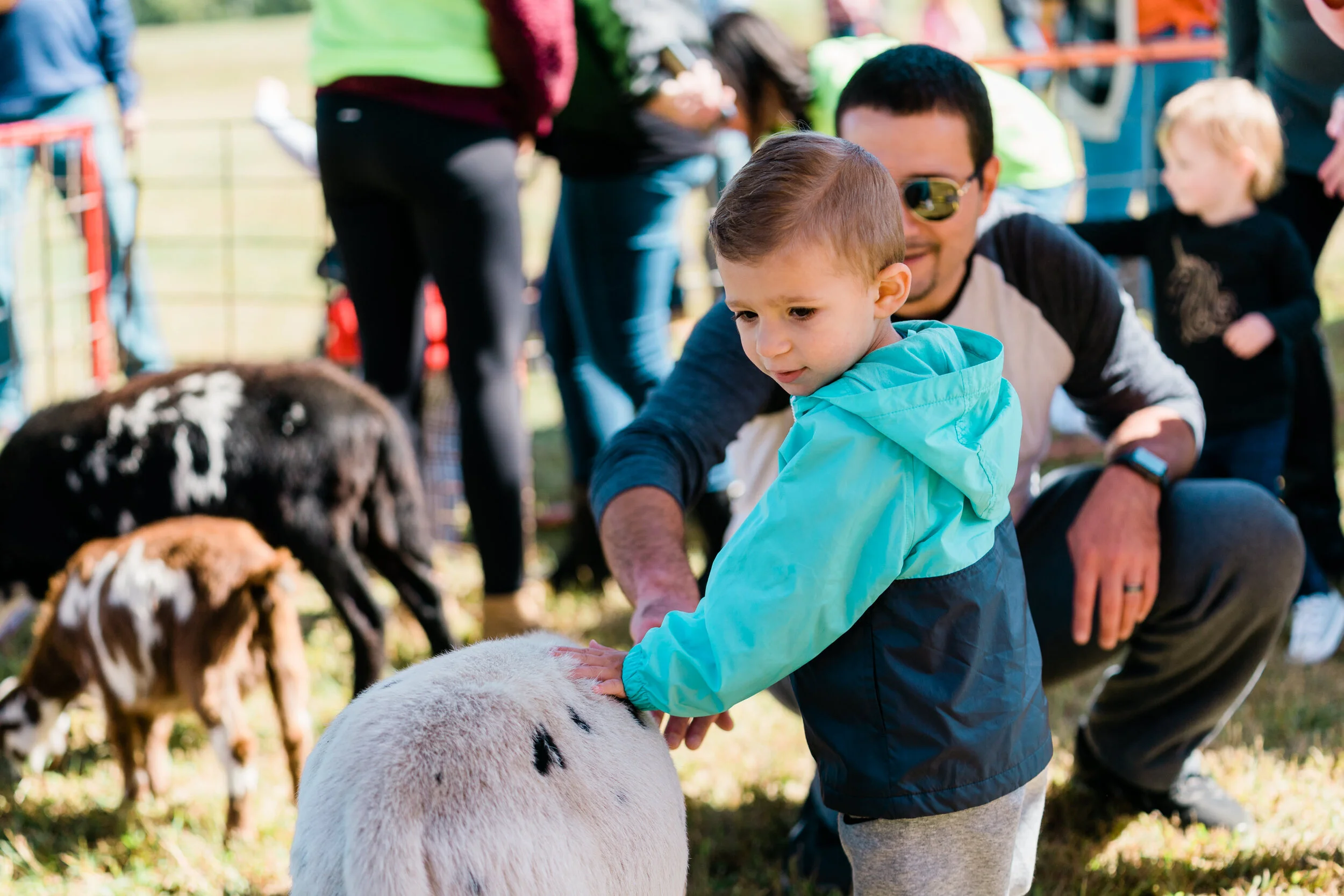 NEWS_Holmdel_HarvestFest_PO-12.jpg