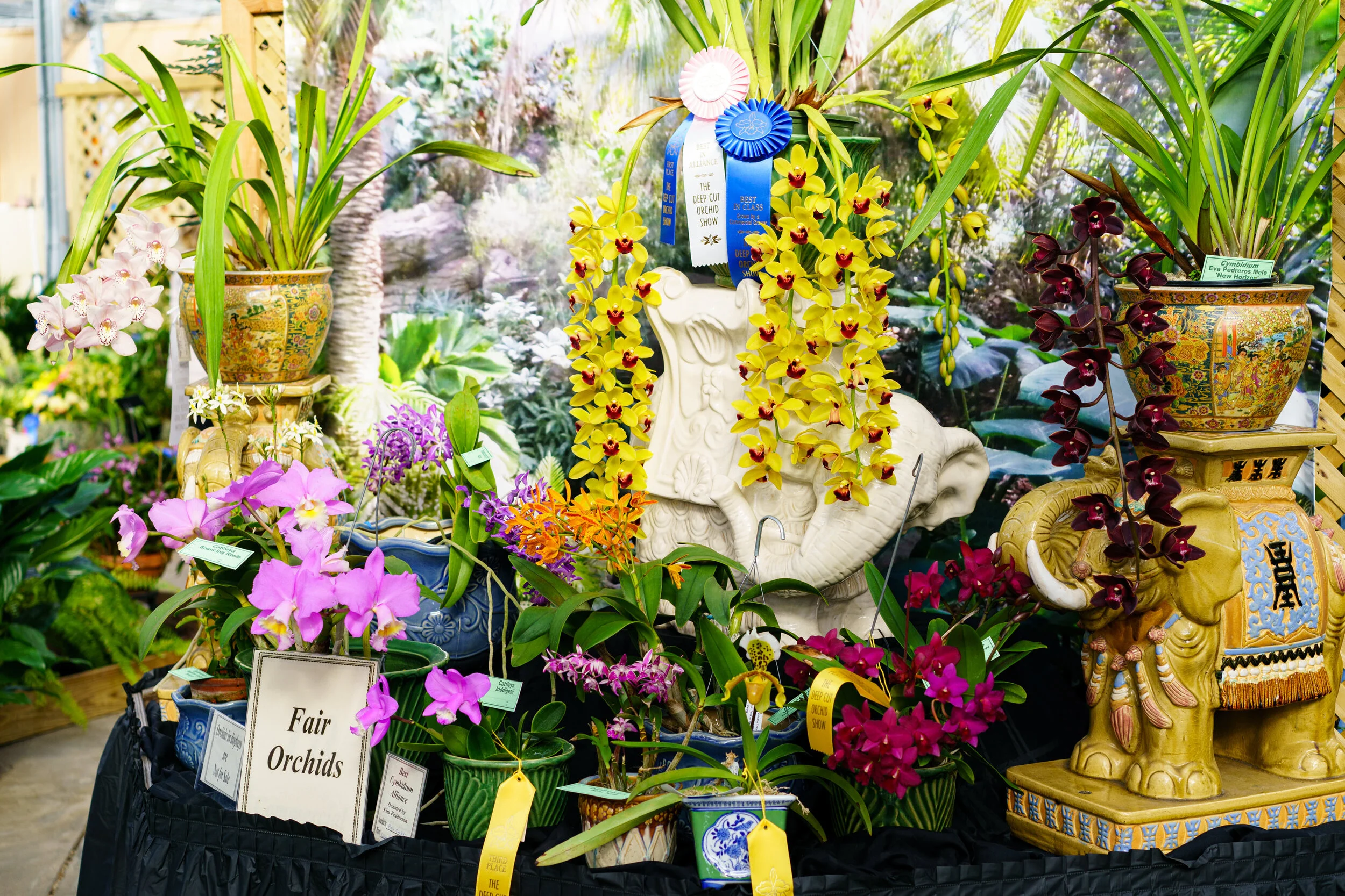 NEWS_HOLM_Orchids_PO-11.jpg
