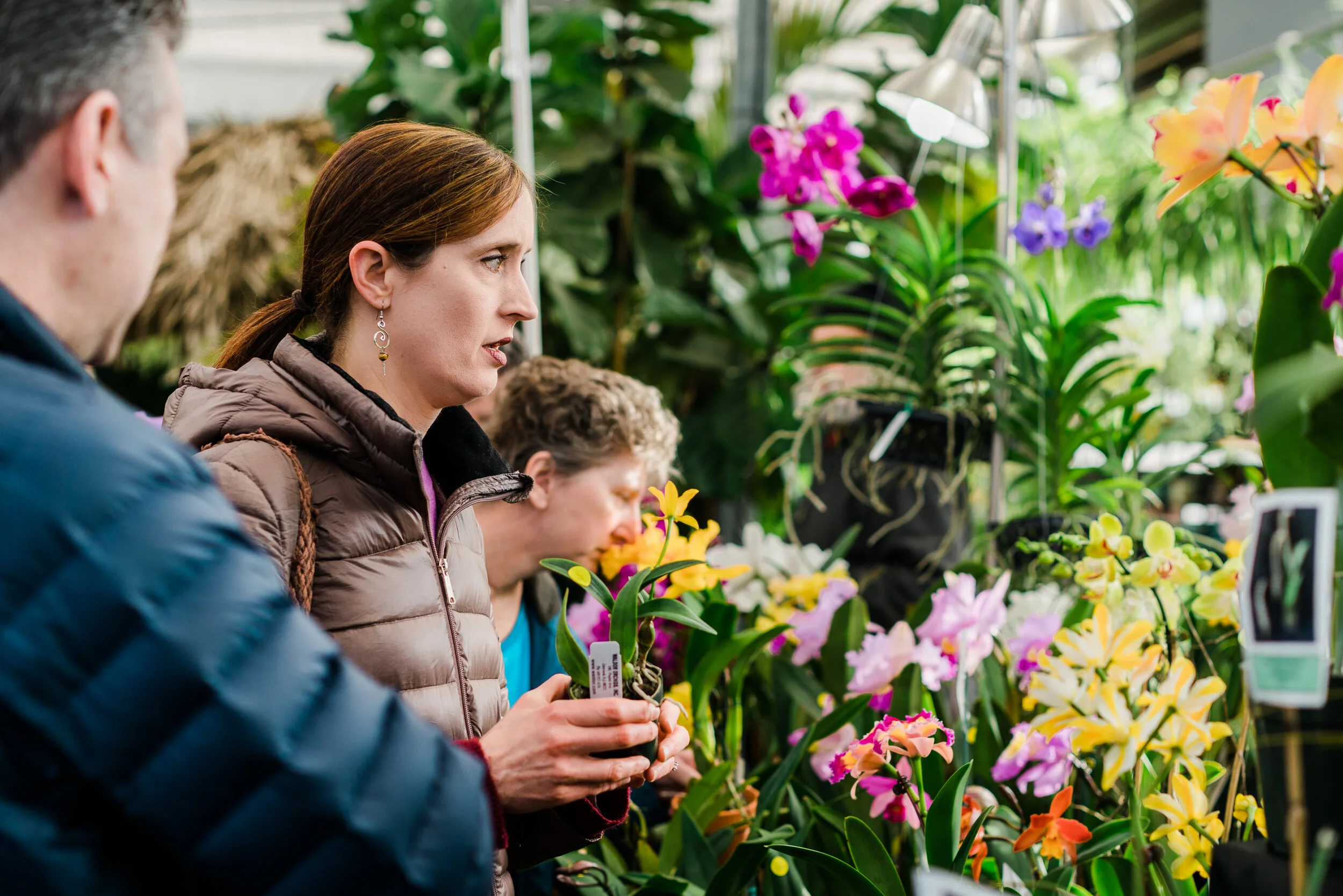 NEWS_HOLM_Orchids_PO-18.jpg