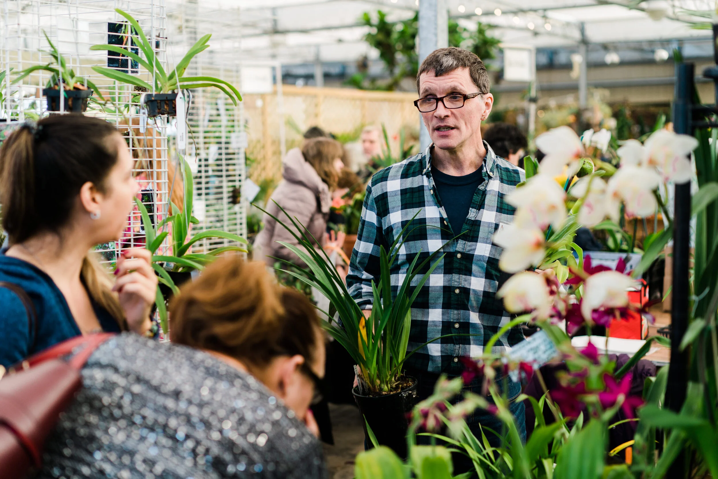 NEWS_HOLM_Orchids_PO-21.jpg