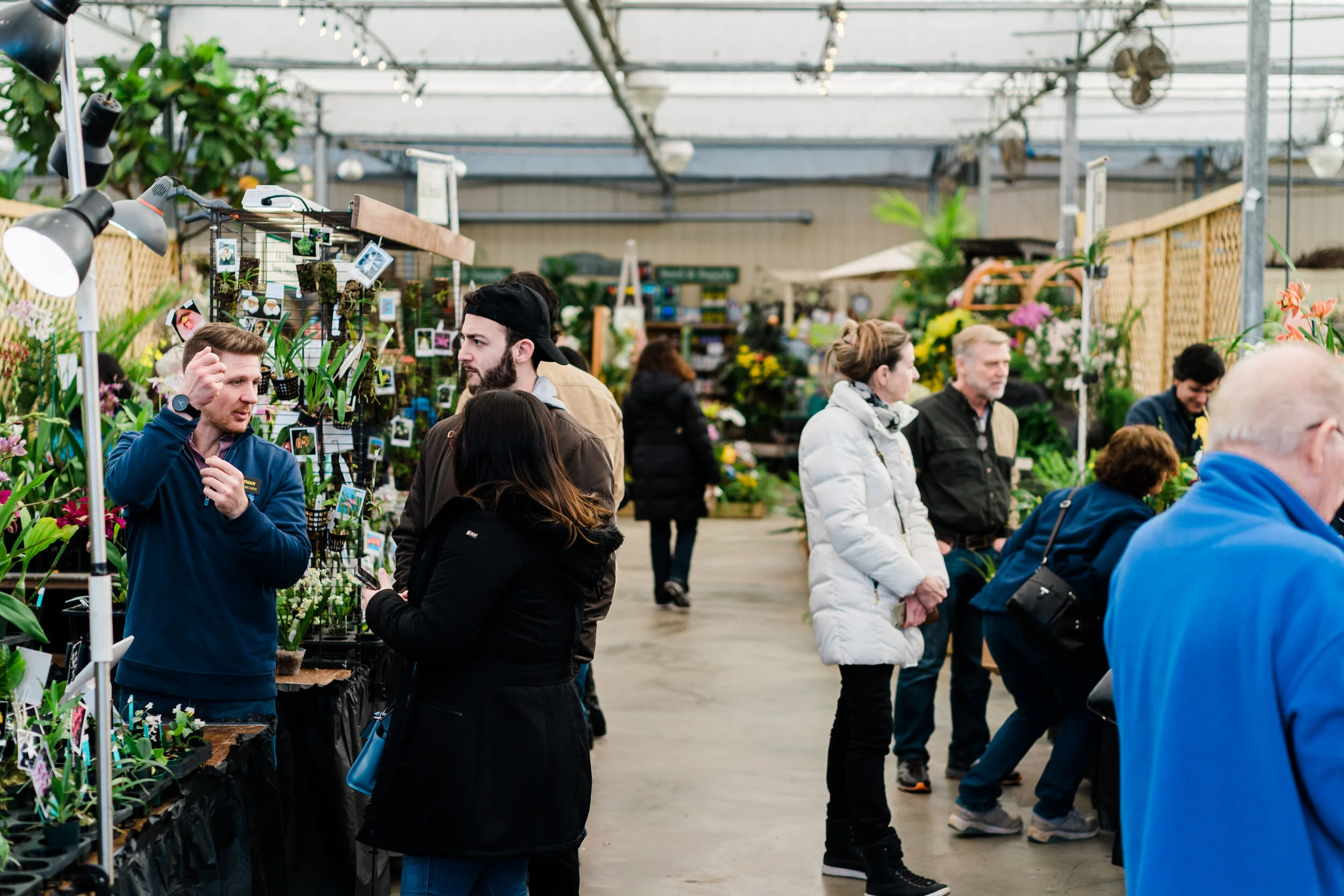 NEWS_HOLM_Orchids_PO-22.jpg