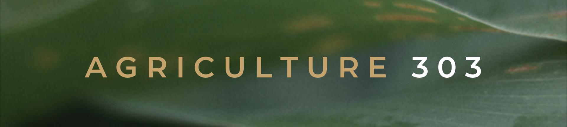 Agriculture_2.png