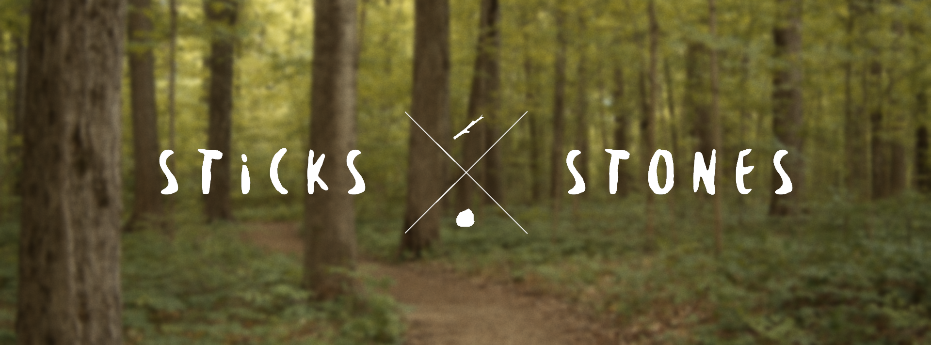 Sticks &amp; Stones : Discussion Guide Week 3