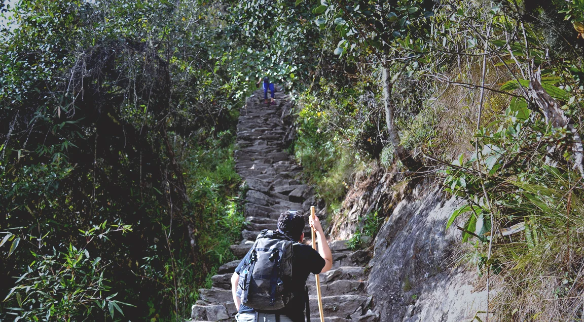 Peru 2015 412 CROP.jpg