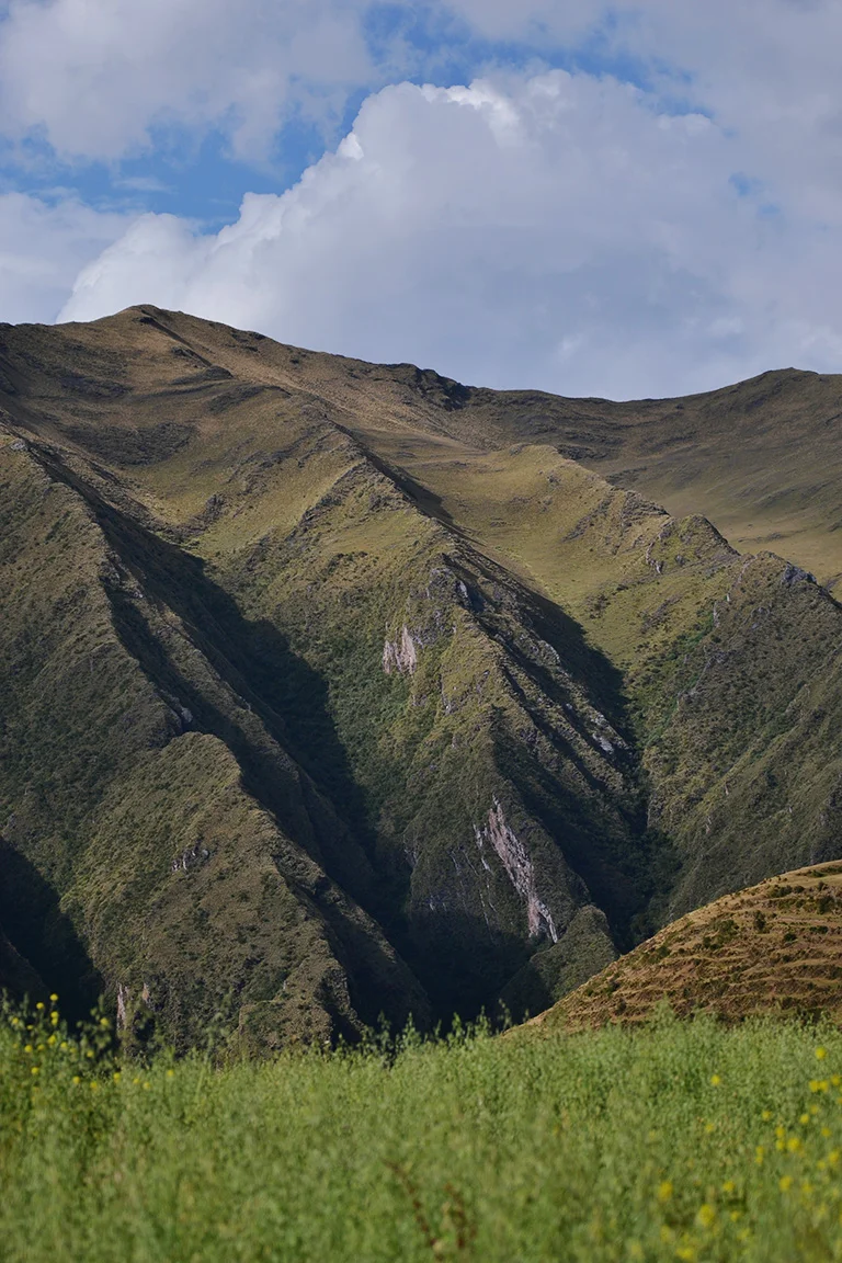 Peru 2015 1358.jpg