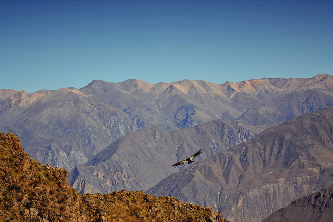 Peru 2015 1837.jpg
