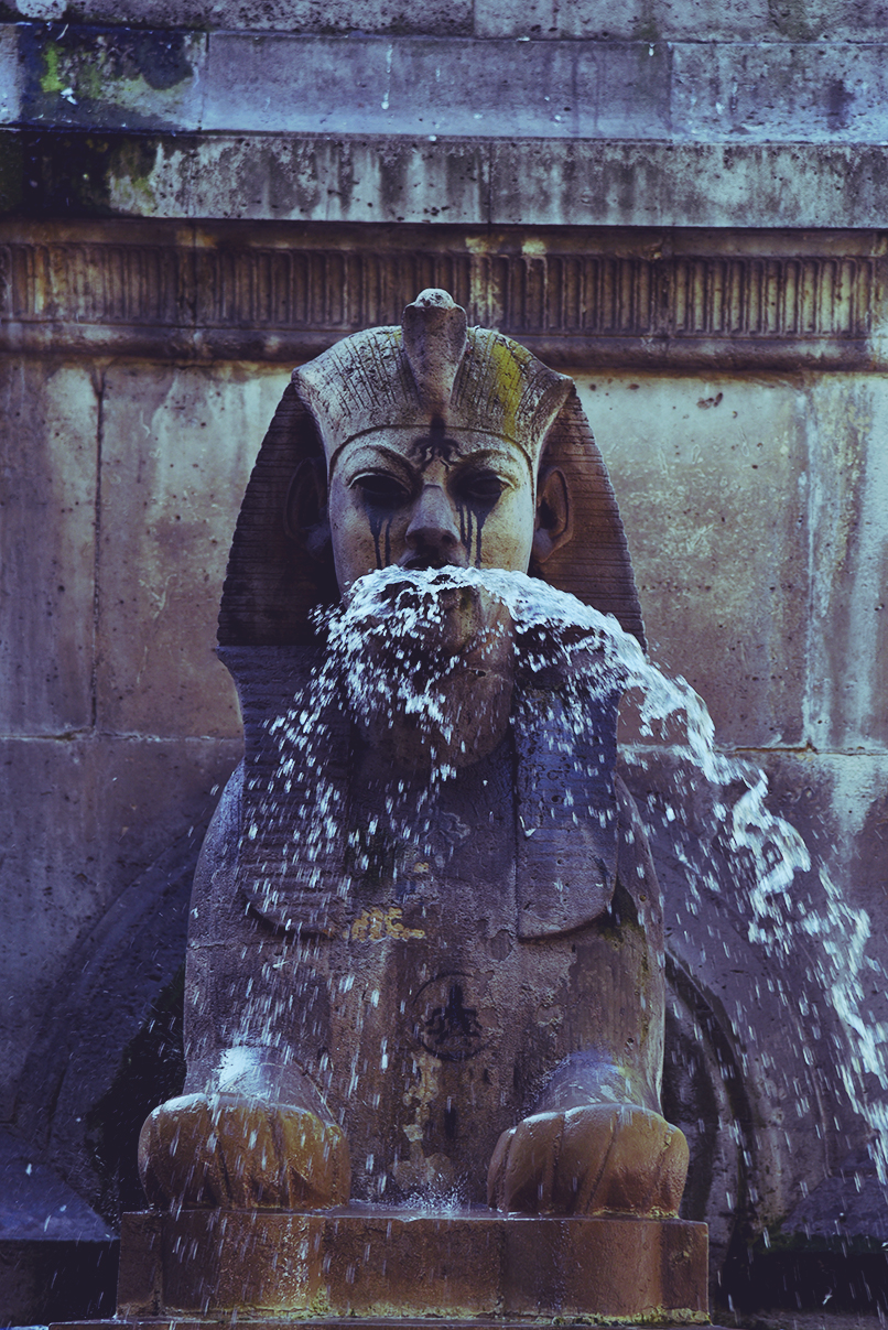 DSC_6640 crop.jpg