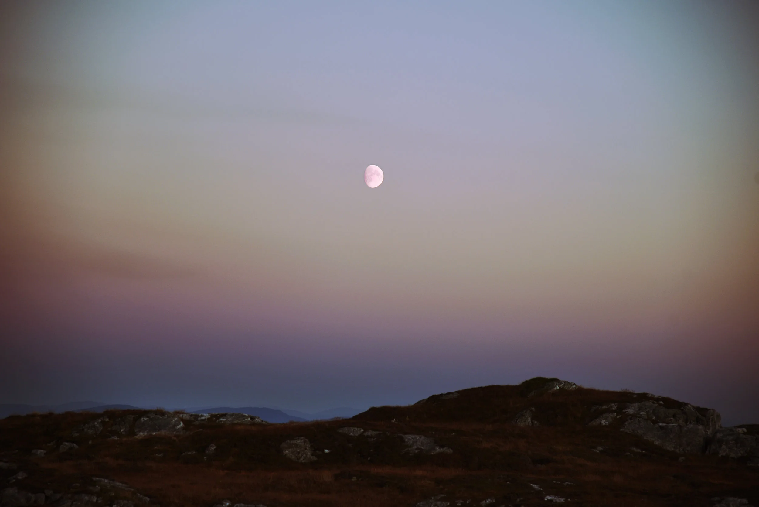 DSC_9445.jpg