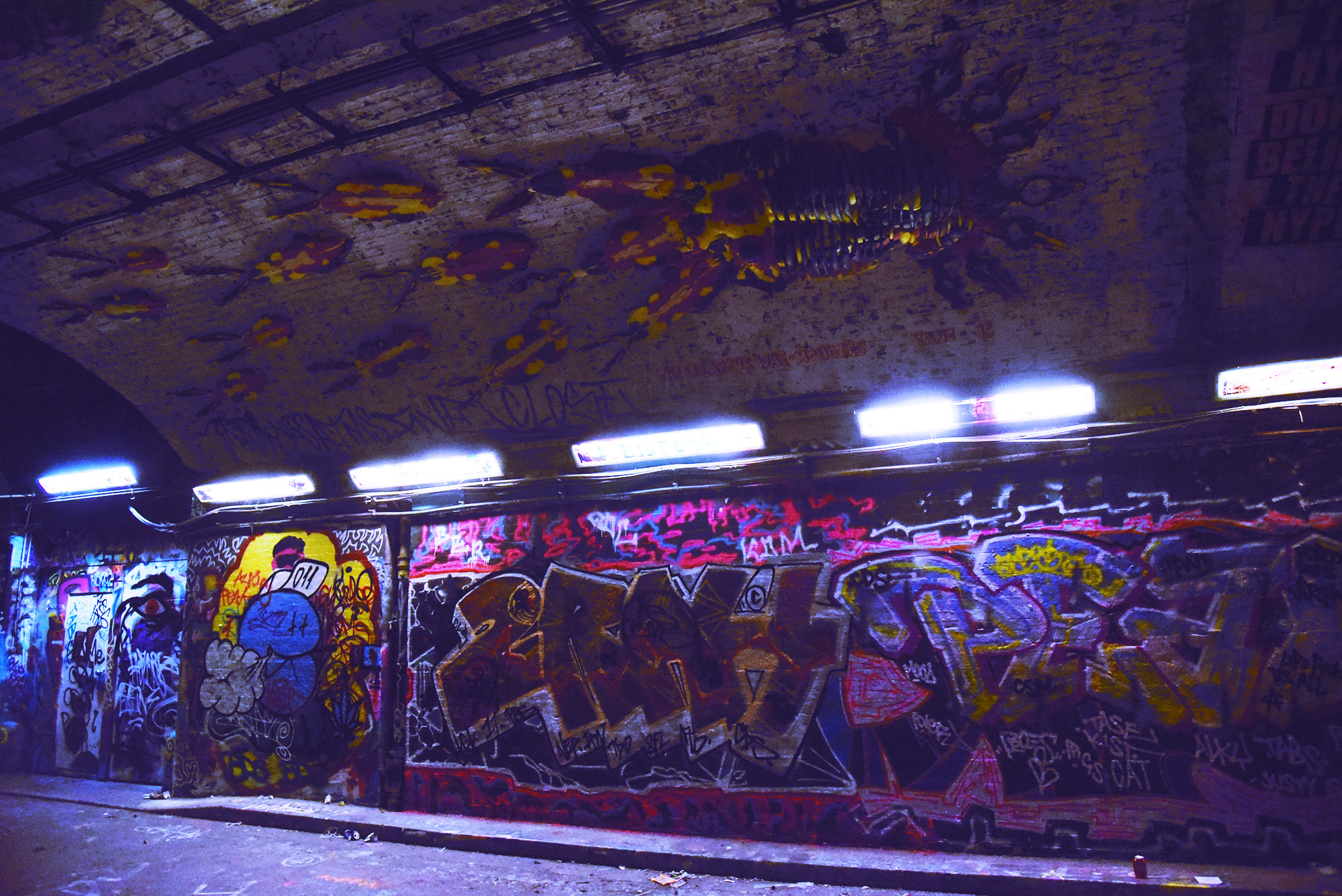DSC_9944.jpg