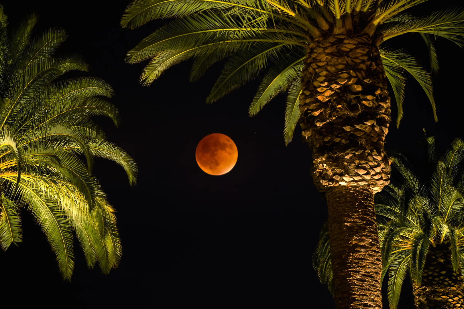 _DSC1702-PS_wallpaper.jpg