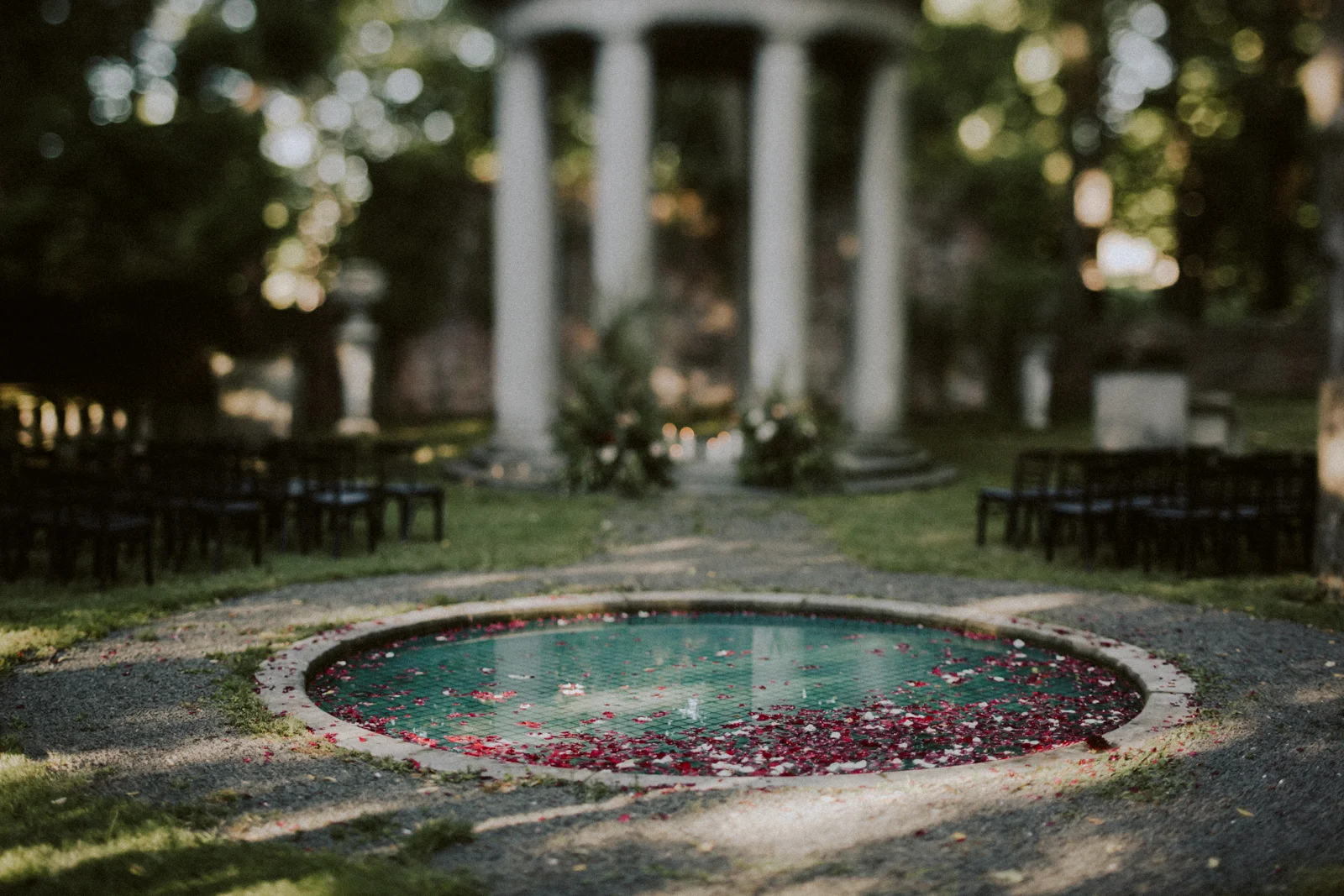 Daisy+Michael-65.jpg