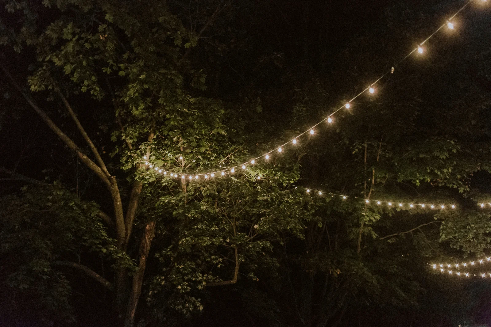 Daisy+Michael-186.jpg