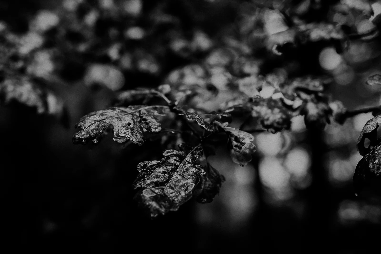 ShawnBeibei_blog_0030.jpg