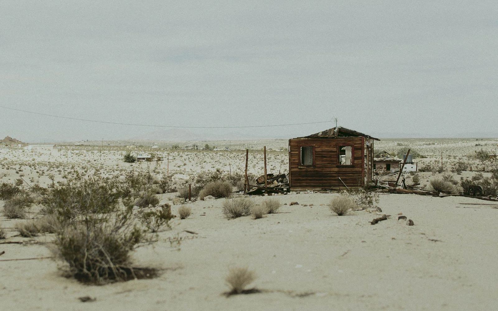 JoshuaTree_Blog_0001.jpg