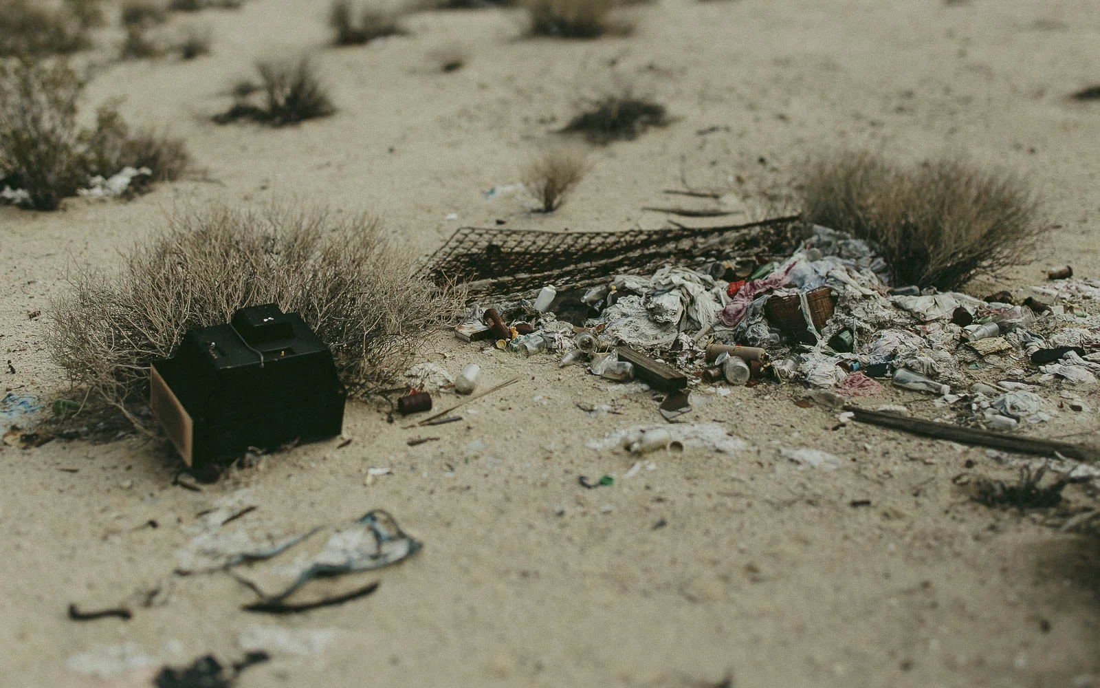 JoshuaTree_Blog_0006.jpg