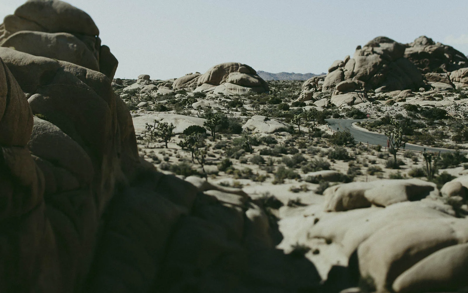 JoshuaTree_Blog_0052.jpg
