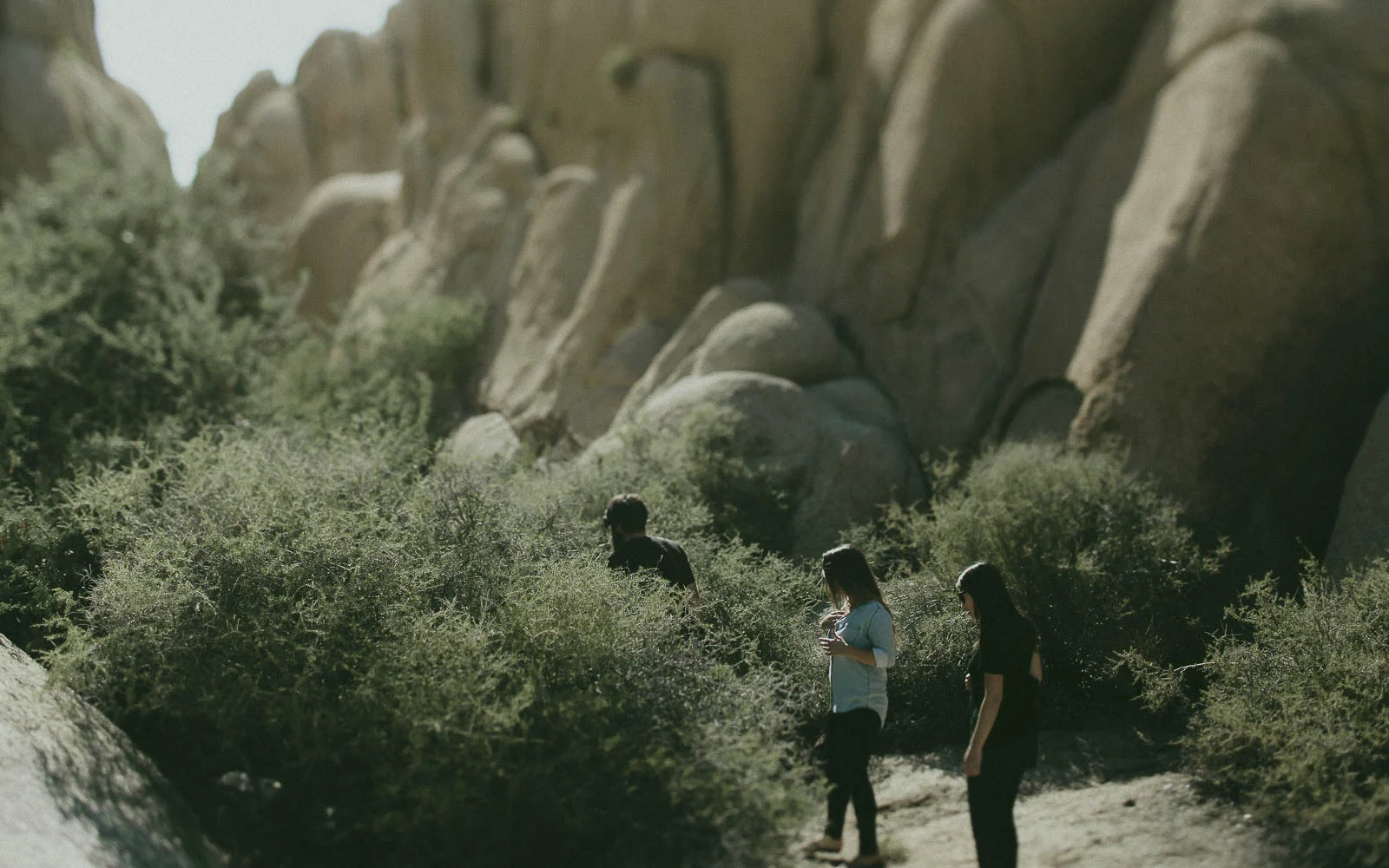 JoshuaTree_Blog_0054.jpg