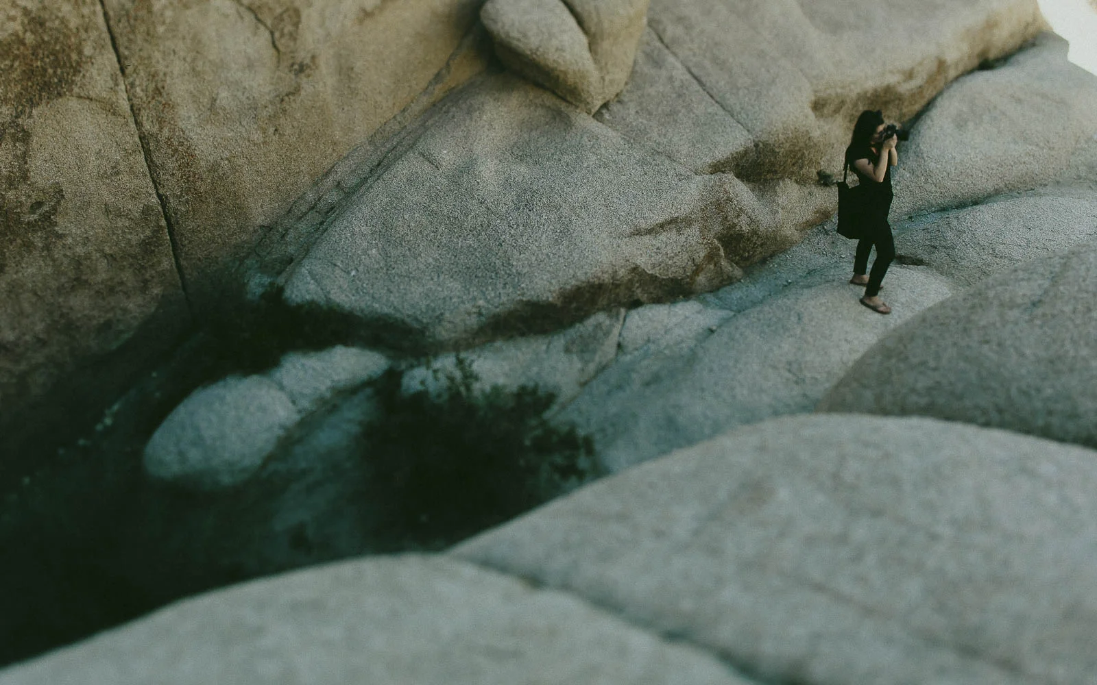 JoshuaTree_Blog_0061.jpg