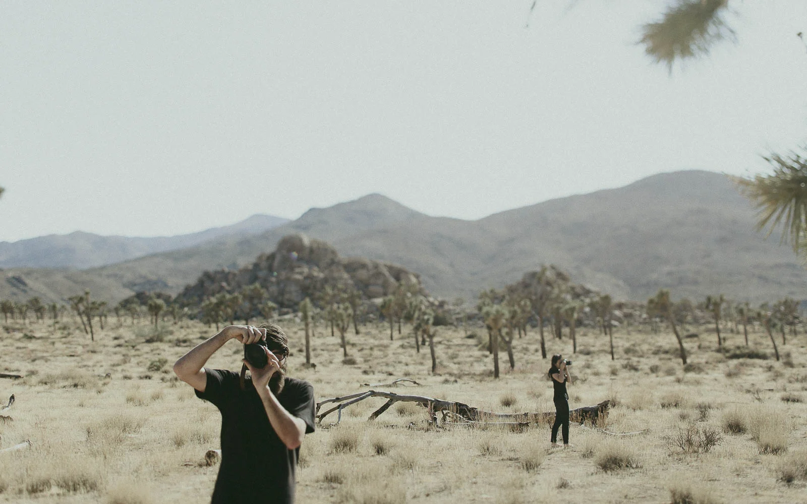 JoshuaTree_Blog_0066.jpg