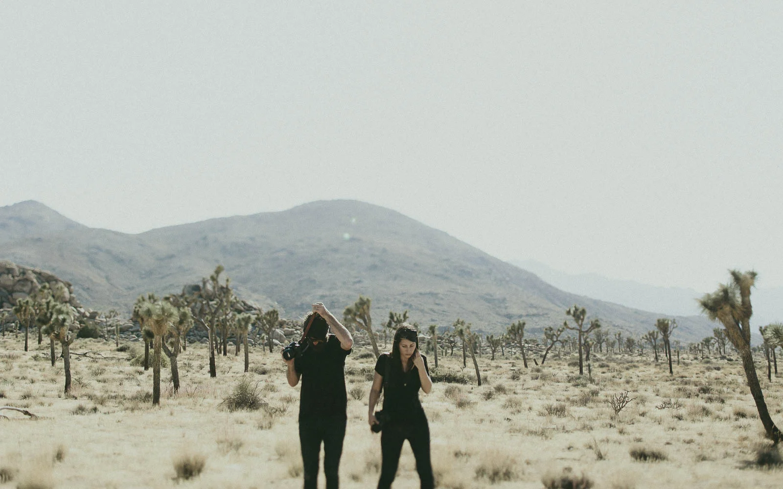 JoshuaTree_Blog_0069.jpg