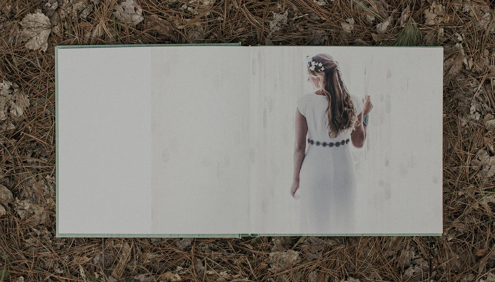 Albums and Books — IN THE NORTH