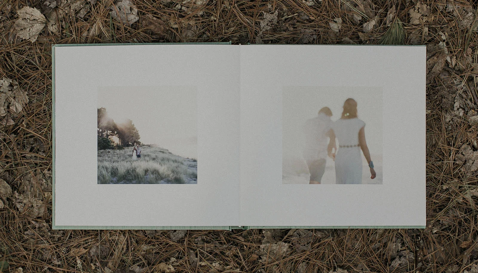 Albums and Books — IN THE NORTH