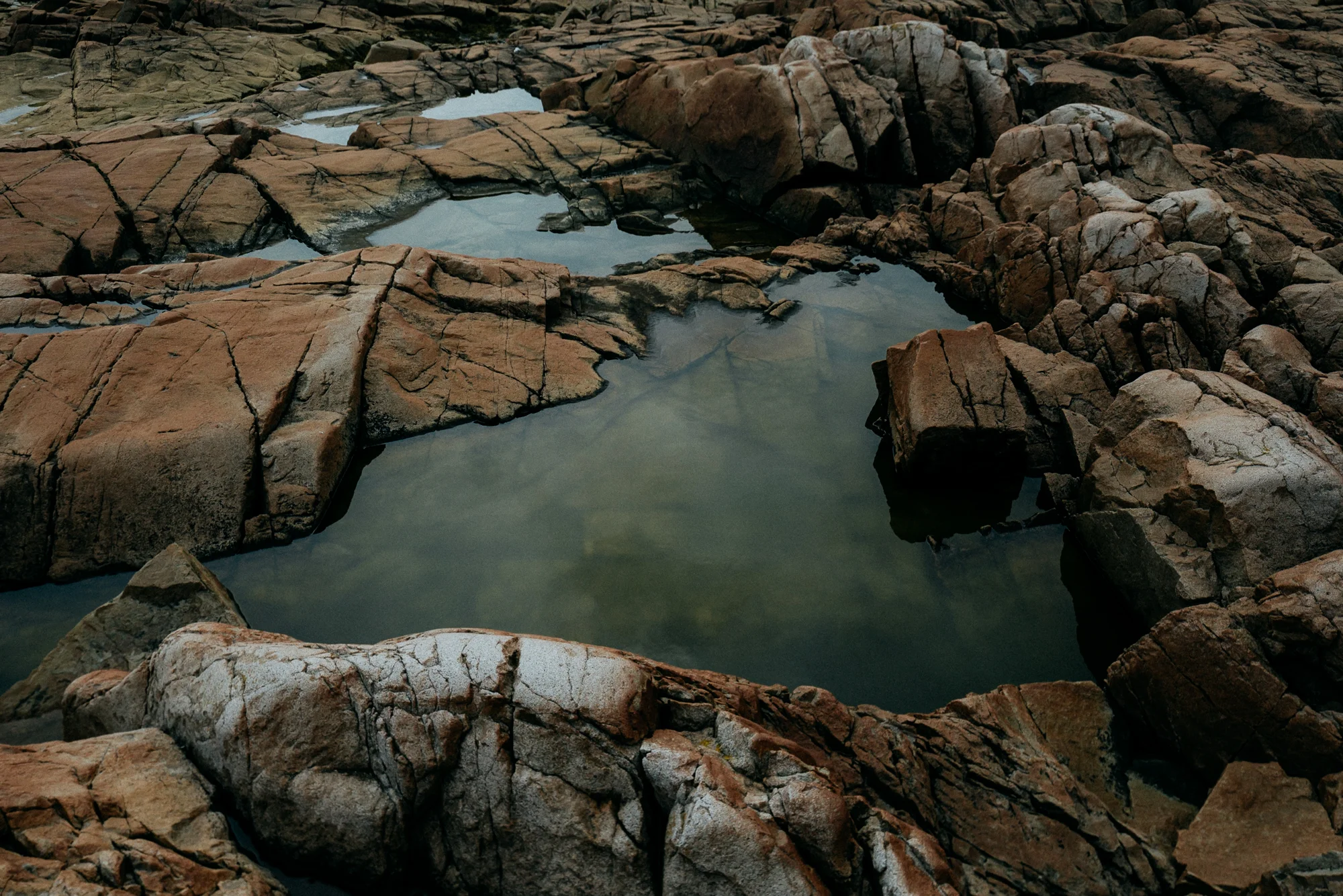 Jesse+Jen-ForgedintheNorth-00016.jpg