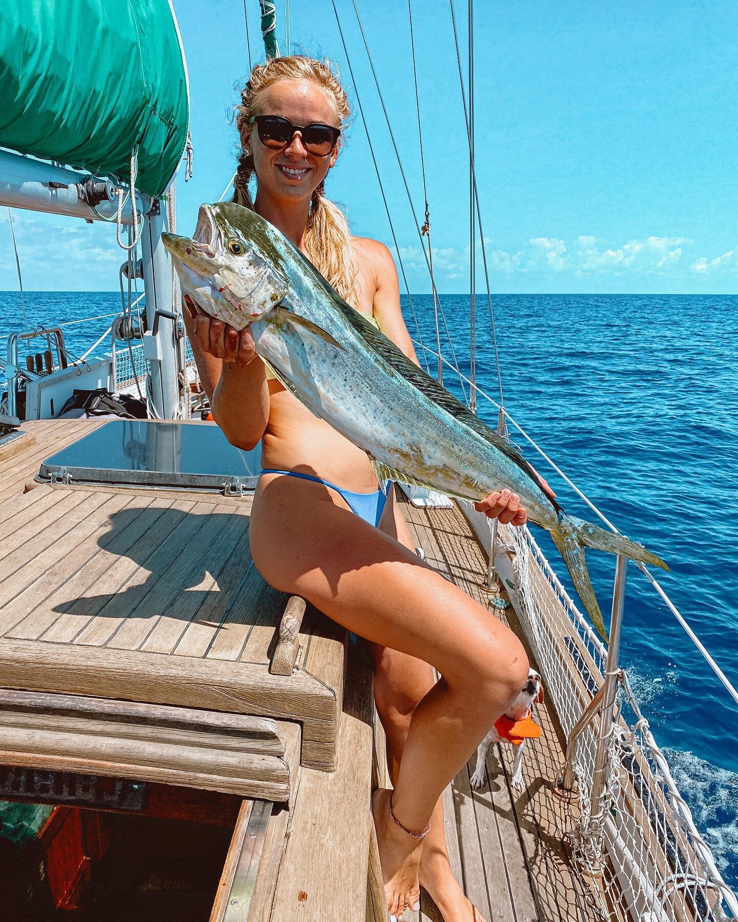 First fish on our poles! When this Mahi hit the rod you wouldn&rsquo;t believe our excitement, but the dogs excitement was a whole nother level!!
.
.
.
.
.
.
.
#reelfishing #rodfishing #mahimahi #girlswhofish #fishinggirls #fishing #fish #ocean #cari