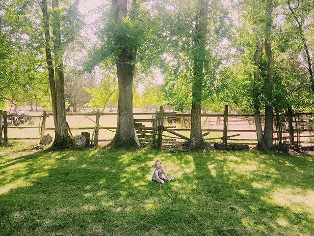 First summer on the farm. 🏡