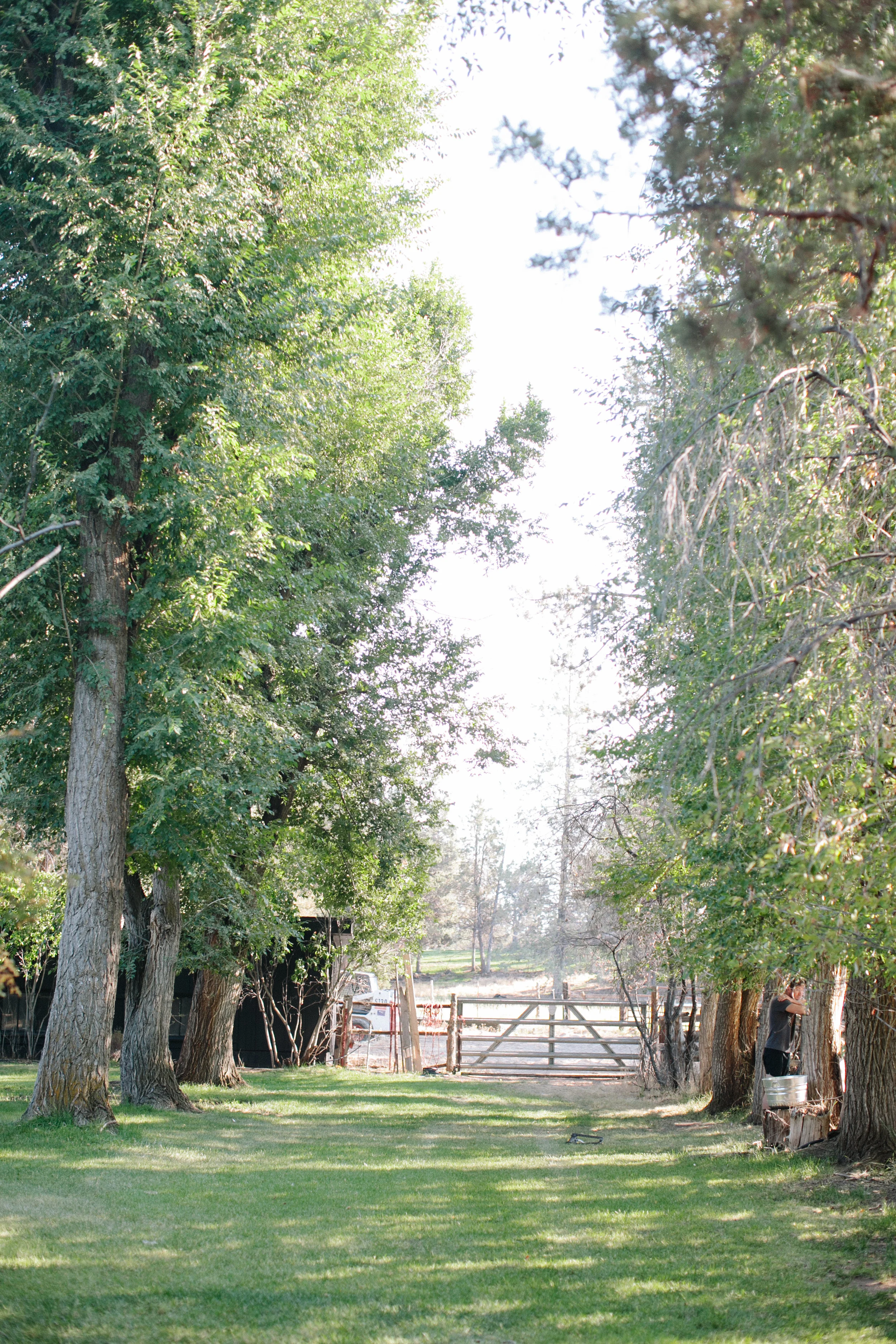 The Story of the Farm